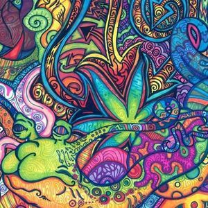 Meet your Posher, Mason